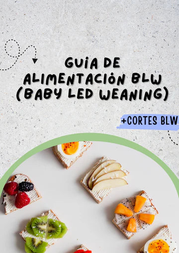 07.- 🥕 Mini Recetario BLW: Comidas Reales para Manitos Pequeñas 💛